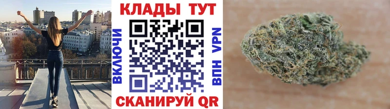 Галлюциногенные грибы Грозный