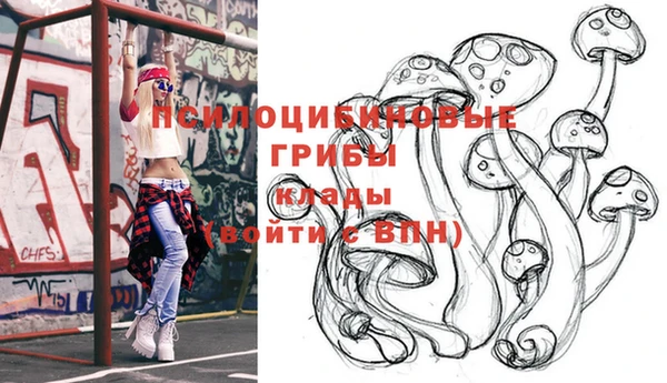 прущая мука Абаза
