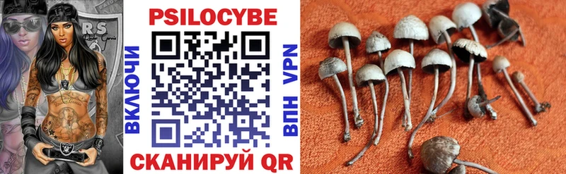 MEGA вход  Грозный  Псилоцибиновые грибы Cubensis 