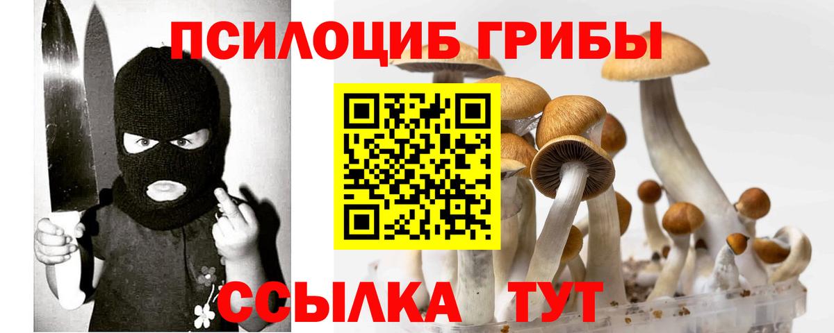 Галлюциногенные грибы прущие грибы Грозный